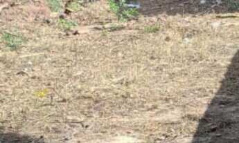 Imagem: Terreno com 337,50m²