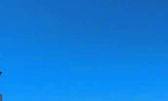 Imagem: Terreno com 379,64m²