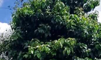 Imagem: Casa à venda no bairro Jardim Kennedy