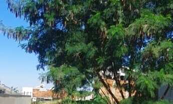 Imagem: Terreno com 436,31 m²