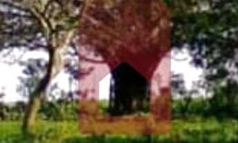 Imagem 2: Chácara à venda no bairro Zona I - Umuarama/PR