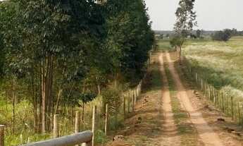 Imagem: Chácara à venda no bairro Lovat - Umuarama/PR