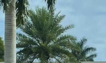 Imagem: Forest Hill Residence Spa Resort