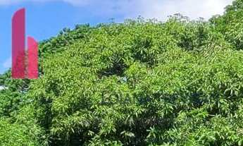 Imagem: Sítio em AÇU DA TORRE com 9.680m² Mata