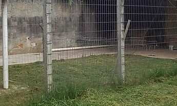 Imagem 3: Casa à venda no bairro São João do Rio Vermelho - Florianópolis/SC