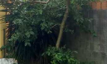 Imagem 2: Casa à venda no bairro São João do Rio Vermelho - Florianópolis/SC