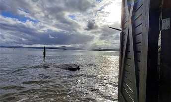 Imagem 3: Casa Alto Padrão em Sambaqui - Florianópolis