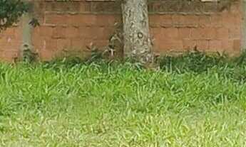 Imagem: Terreno à venda no bairro São João do