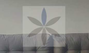 Imagem 5: Apartamento Cobertura em Vila Floresta, Santo André/SP