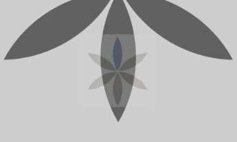 Imagem: Terreno em Osvaldo Cruz, São Caetano do