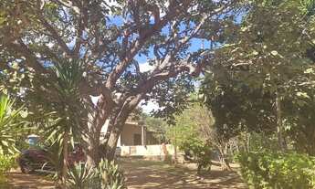 Imagem 4: Lindo Sitio Pronto para eventos