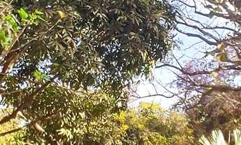 Imagem 5: Lindo Sitio Pronto para eventos