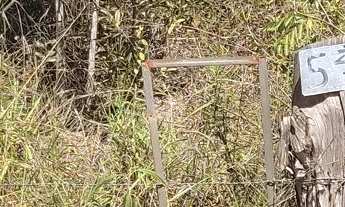 Imagem 5: Terreno Lote em Bonanza, Santa Luzia/MG