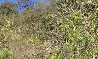 Imagem: Terreno Lote em Bonanza, Santa Luzia/MG