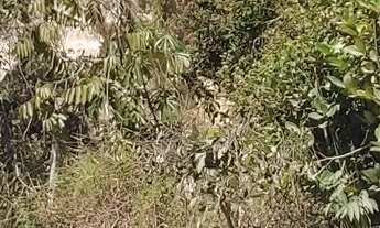 Imagem 2: Terreno Lote em Bonanza, Santa Luzia/MG