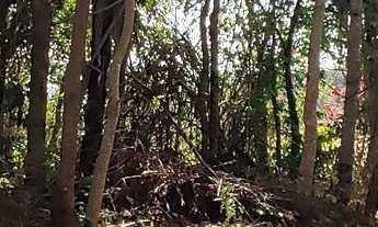 Imagem: Terreno à venda no bairro Recanto da Mata