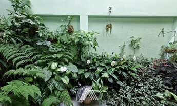 Imagem 7: Casa na Chácara Santo Antônio