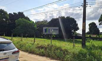 Imagem 6: Lote 26 da quadra 30 de esquina com av araça