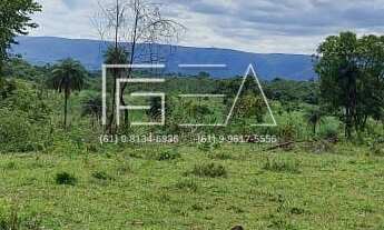 Imagem: Oportunidade única Fazenda pronta para