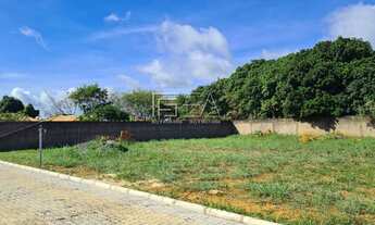 Imagem 6: LOTE 12X30 NO SETOR SUL