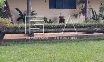 Imagem 4: Fazenda à Venda: Propriedade de Alto Potencial com Recursos Naturais e Árvores Frutíferas