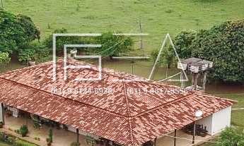 Imagem 2: Fazenda à Venda: Propriedade de Alto Potencial com Recursos Naturais e Árvores Frutíferas