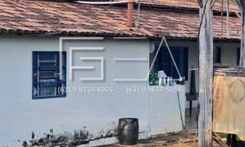 Imagem 6: Fazenda à Venda: Propriedade de Alto Potencial com Recursos Naturais e Árvores Frutíferas