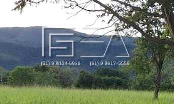 Imagem 5: Fazenda à Venda: Propriedade de Alto Potencial com Recursos Naturais e Árvores Frutíferas