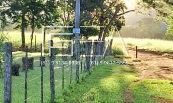 Imagem 3: Fazenda à Venda: Propriedade de Alto Potencial com Recursos Naturais e Árvores Frutíferas
