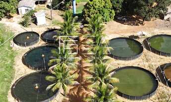 Imagem: CHACARÁ COMPLETA PARA PISCICULTURA E LAZER