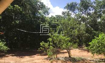 Imagem 3: CHÁCARA À VENDA EM FORMOSA - PRÓXIMO À CACHOEIRA DO ITIQUIRA