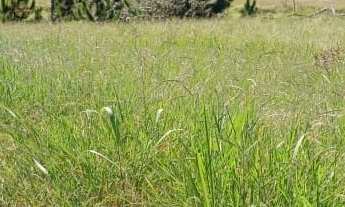 Imagem 5: Recanto Maravilha III: Onde Seus Sonhos Encontram Espaço e Conforto