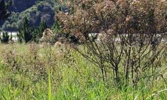 Imagem 7: Recanto Maravilha III: Onde Seus Sonhos Encontram Espaço e Conforto