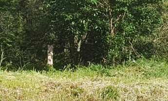 Imagem: Terreno em Recanto Maravilha III, Santana