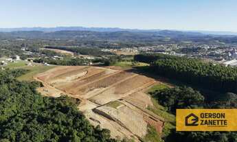 Imagem: Loteamento Lucia Giassi/B. Jardim das Palmeiras/