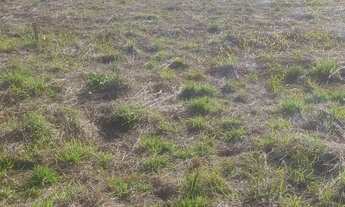 Imagem: Lote Bairro Vila São Jorge/ Siderópolis/