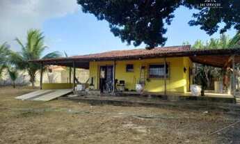 Imagem: Chácara na Vila da Mata, São José de