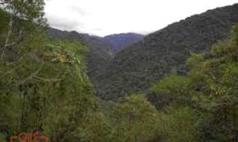 Imagem 2: Área Reflorestamento, AREA PARA COMPENSAÇÃO NO ESTADO DE SÃO PAULO