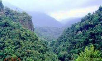 Imagem 5: Área Reflorestamento, AREA PARA COMPENSAÇÃO NO ESTADO DE SÃO PAULO