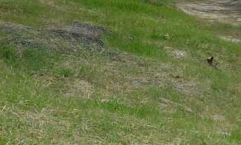 Imagem: Terreno no Condomínio Montreal