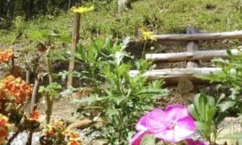 Imagem 2: Sítio à venda no bairro Centro - São Bonifácio/SC