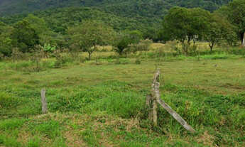 Imagem: Terreno Rural com 11.709,30m²  Sertão