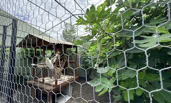 Imagem 7: Casa Alto Padrão na Vila São Luiz