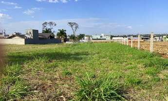 Imagem: Terreno à venda no bairro Jardim das Palmeiras