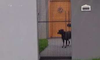 Imagem 2: Casa à venda no bairro Conjunto Residencial Monte Carlo - Dourados/MS