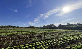 Imagem: Chácara à venda no bairro Parque das Nações