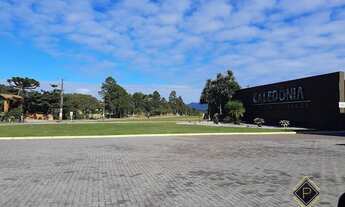 Imagem 7: Terreno em Condomínio Camboriu Caledonia