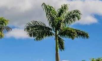 Imagem 2: Terreno Lote em Centro, Porangaba/SP