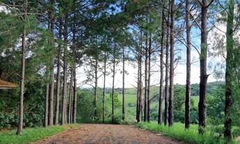 Imagem: Lindo Terreno em Condomínio Vitassay
