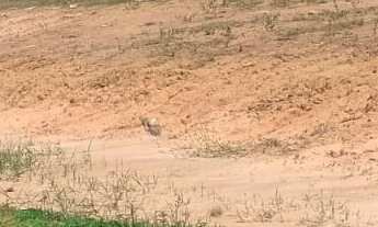 Imagem: Terreno à venda no bairro Jardim Hermínia
